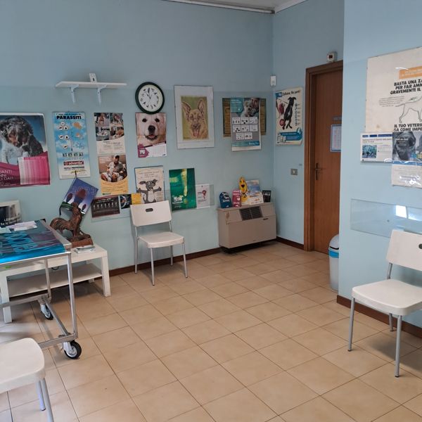 Sala d'attesa con sedie e poster informativi sulla salute degli animali