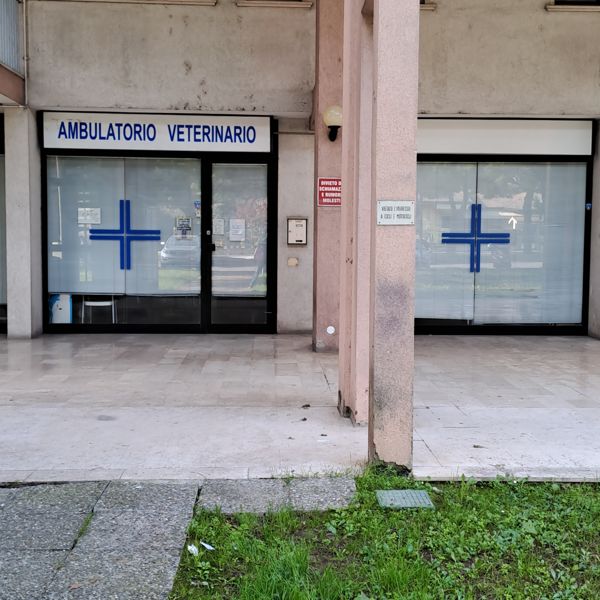 Ingresso dell'Ambulatorio Veterinario in Via Giuseppe di Vittorio 12 a Roncadelle