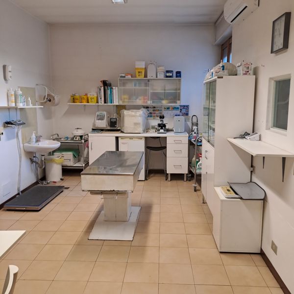 Sala visite con tavolo in acciaio, microscopio e strumenti di laboratorio